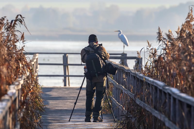 Photographers
